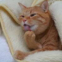 村上寛