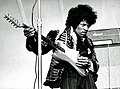 ギタリスト