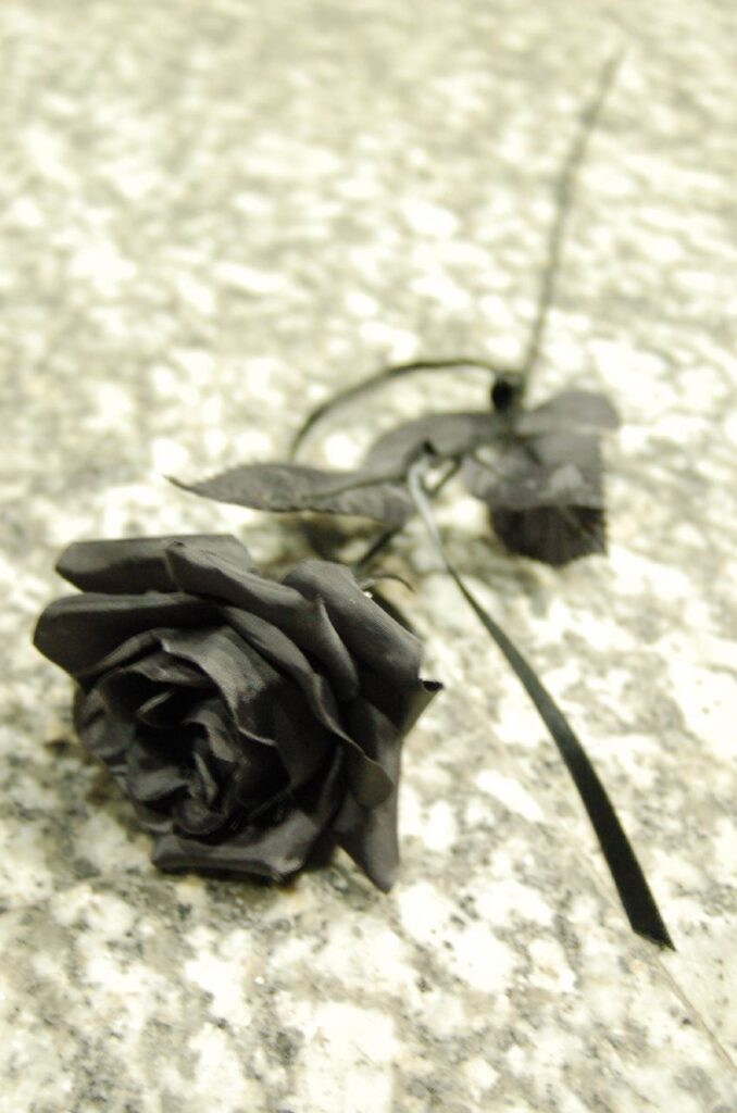 BLACK ROSE