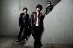 the pillows