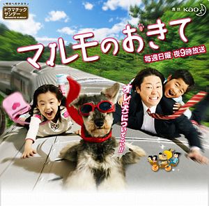 マルモのおきて