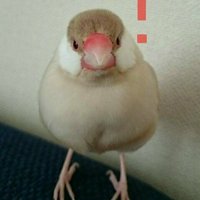 増元拓也