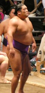 尊富士弥輝也