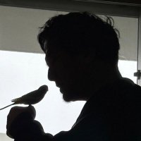 岡本貴也
