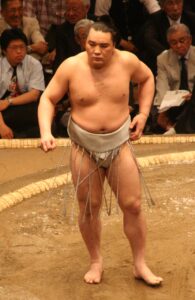 日馬富士公平