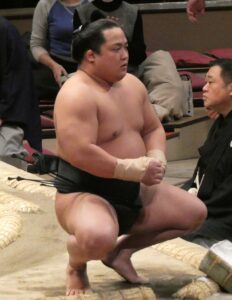 翠富士一成