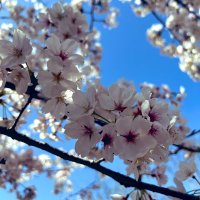 菊田大介