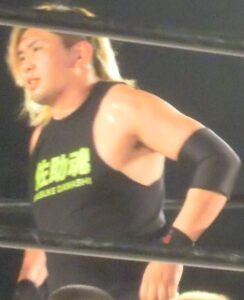 藤田ミノル