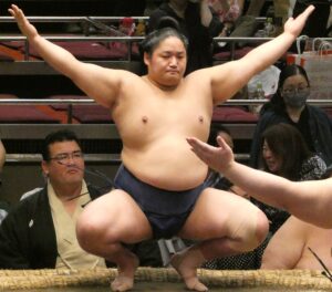 藤青雲龍輝
