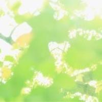 辻堂ゆめ