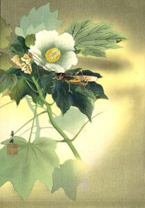 都路華香