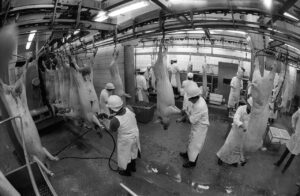 Slaughterhouse