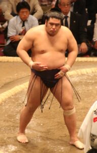 栃煌山雄一郎