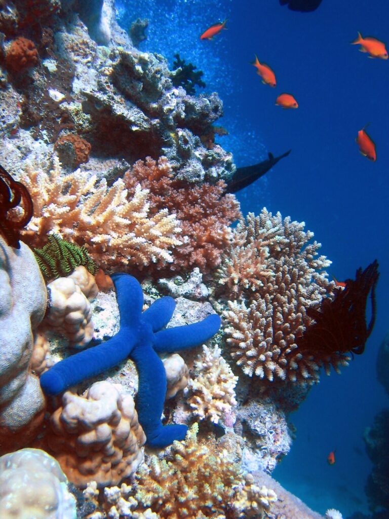 海洋保護